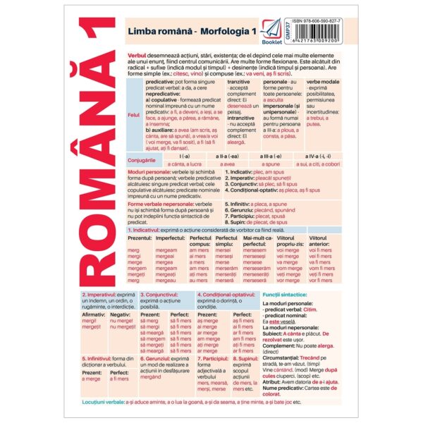 gmp37.jpg Pliant limba romana - Morfologie 1