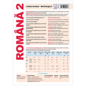 gmp38.jpg Pliant limba romana - Morfologie 2